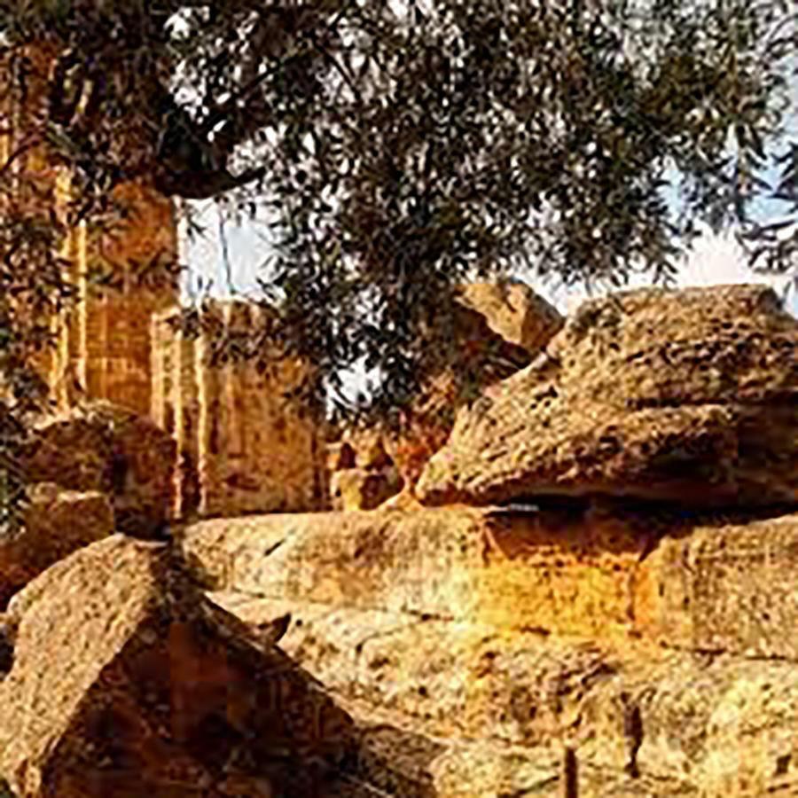 La Citta Degli Dei Bed & Breakfast Agrigento Dış mekan fotoğraf